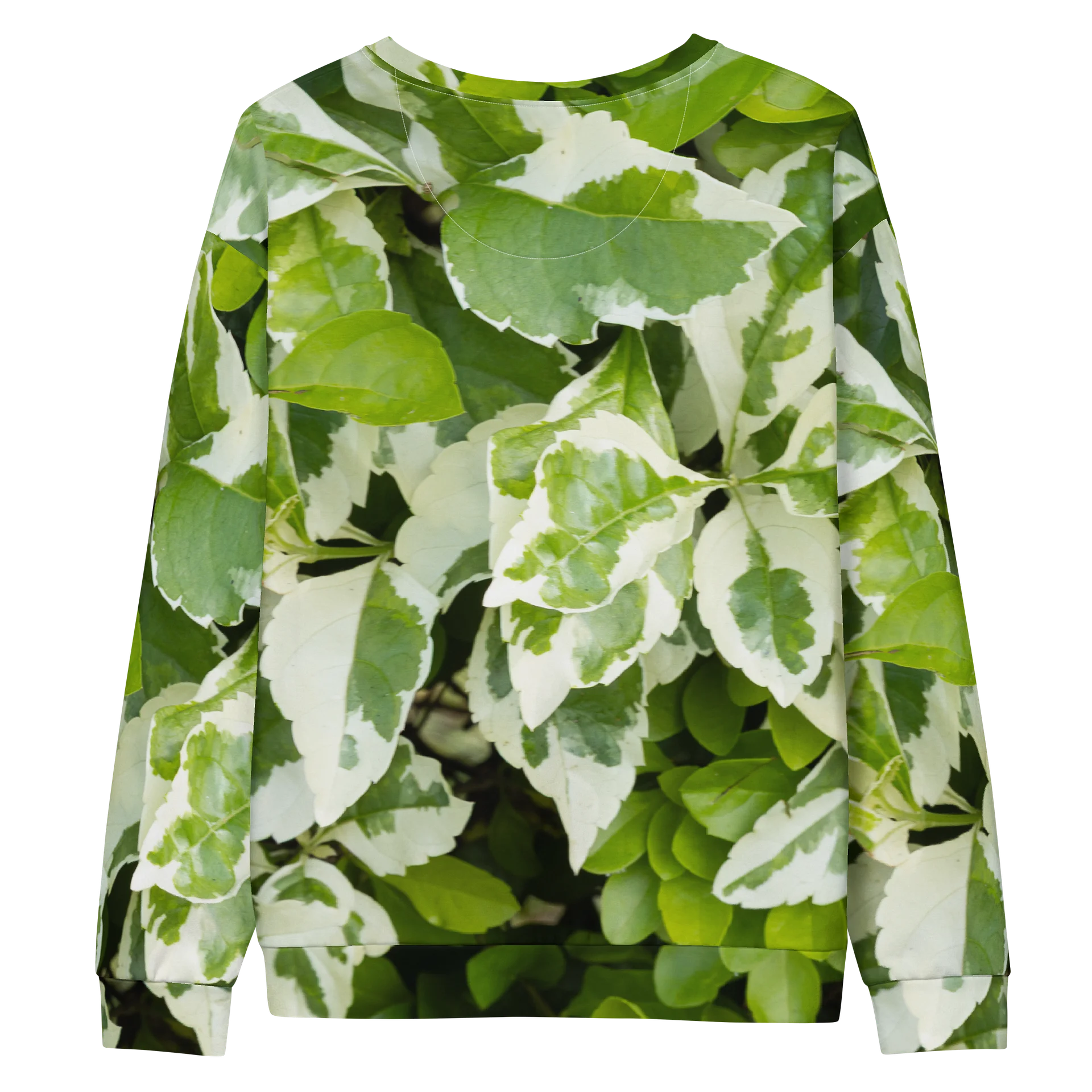 Moss & Parch All-Over Print Unisex Cotton Sweatshirt product image (2)