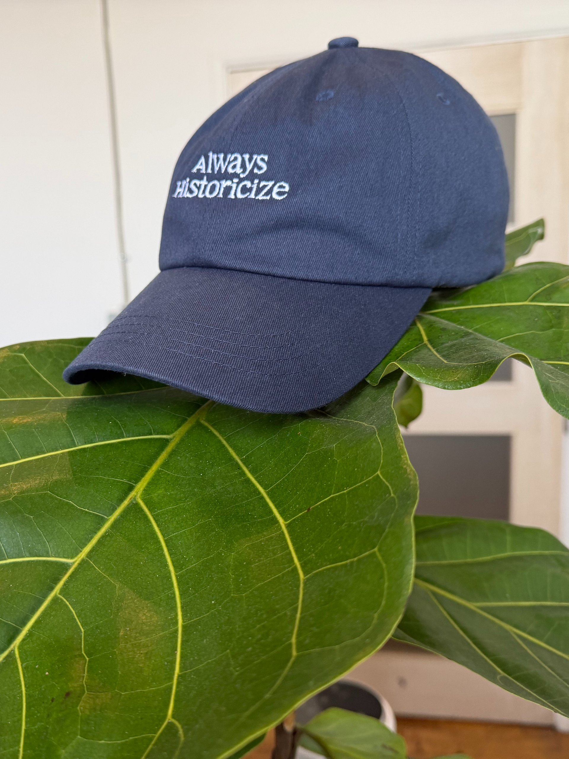 Always Historicize Dad Hat product image (5)