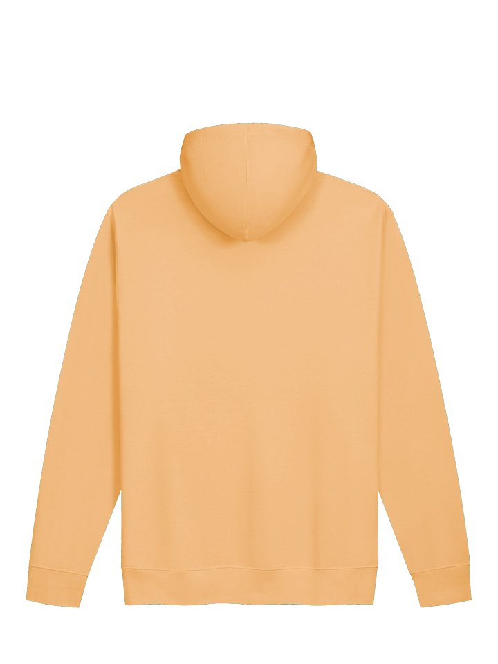 CS Hoodie product image (2)