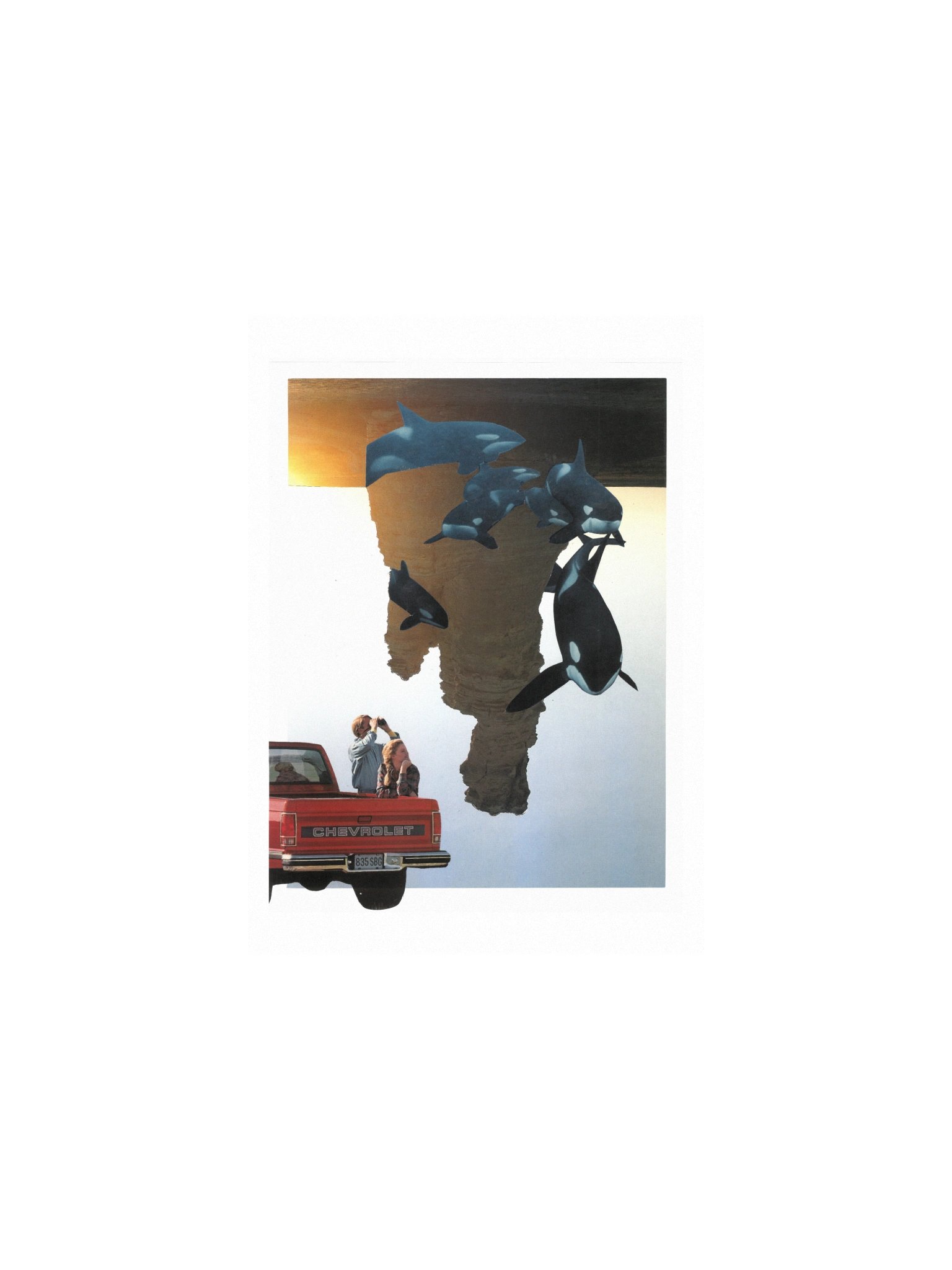 Long time, no sea product image (1)
