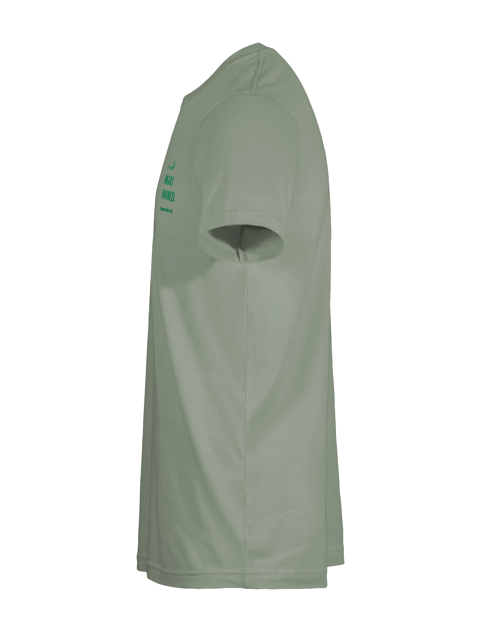 Highly Favored. Dangerously literate. Green tee. product image (9)