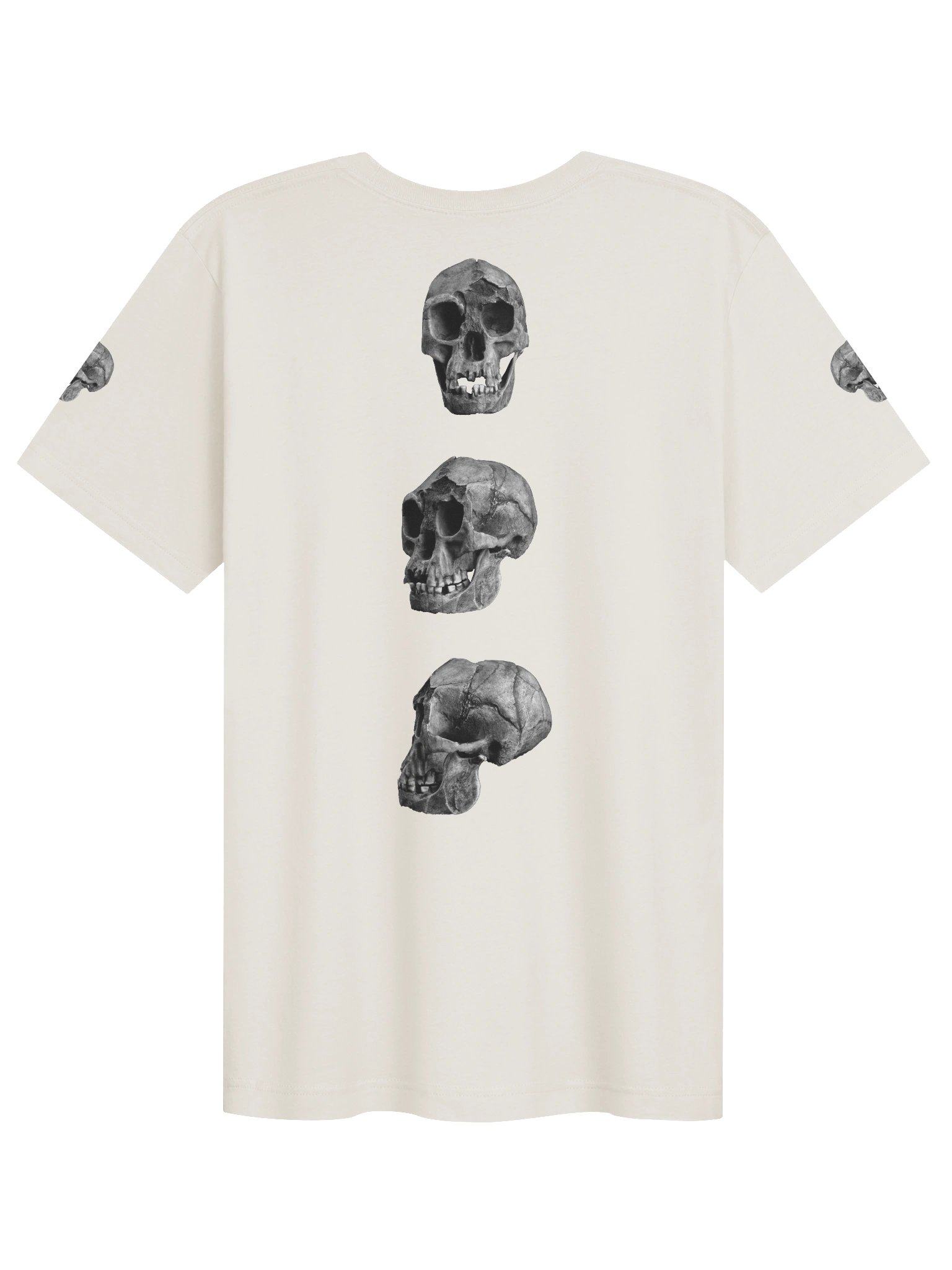 Floresiensis Fossil Skull T-Shirt Light product image (2)