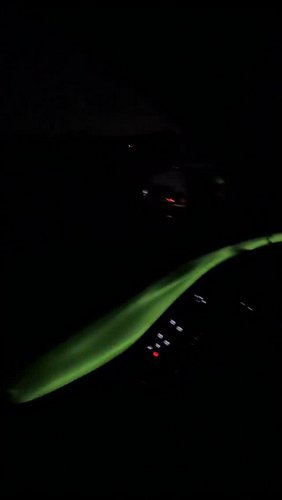 The new Dodge Charger interior is a light show 
#dodge #dodgecharger #mopar
