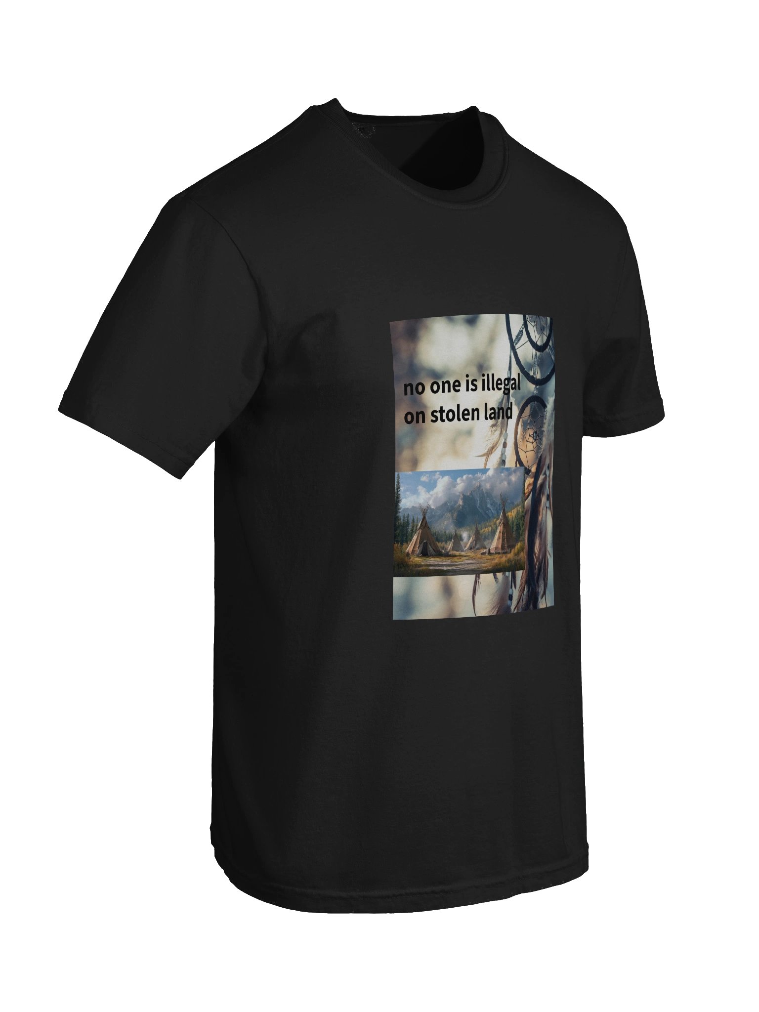 stolen land product image (74)