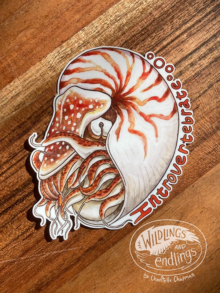 'Introvert-ebrate' Nautilus - art decal product image (1)