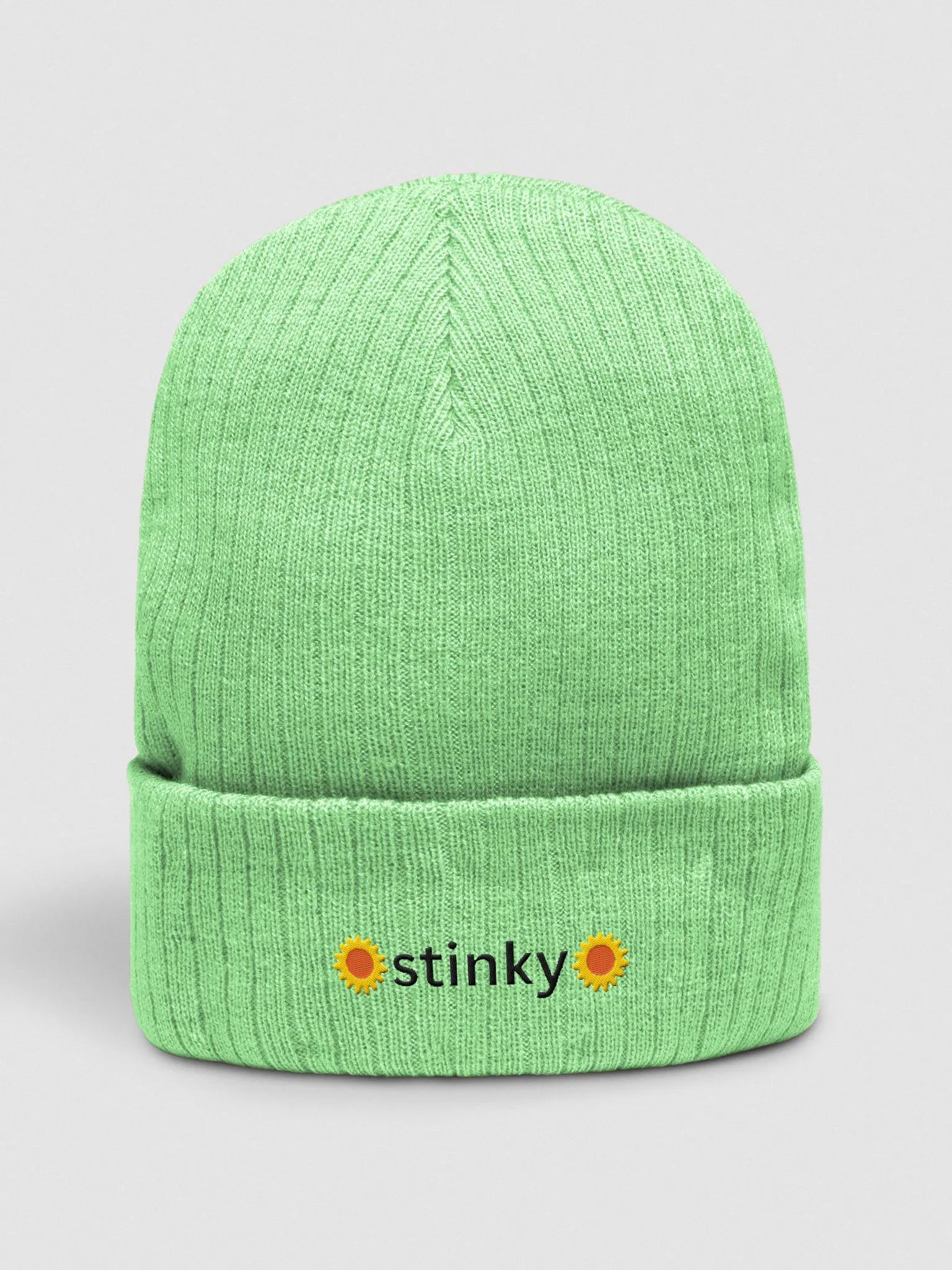stinky ribbed beanie hat product image (1)