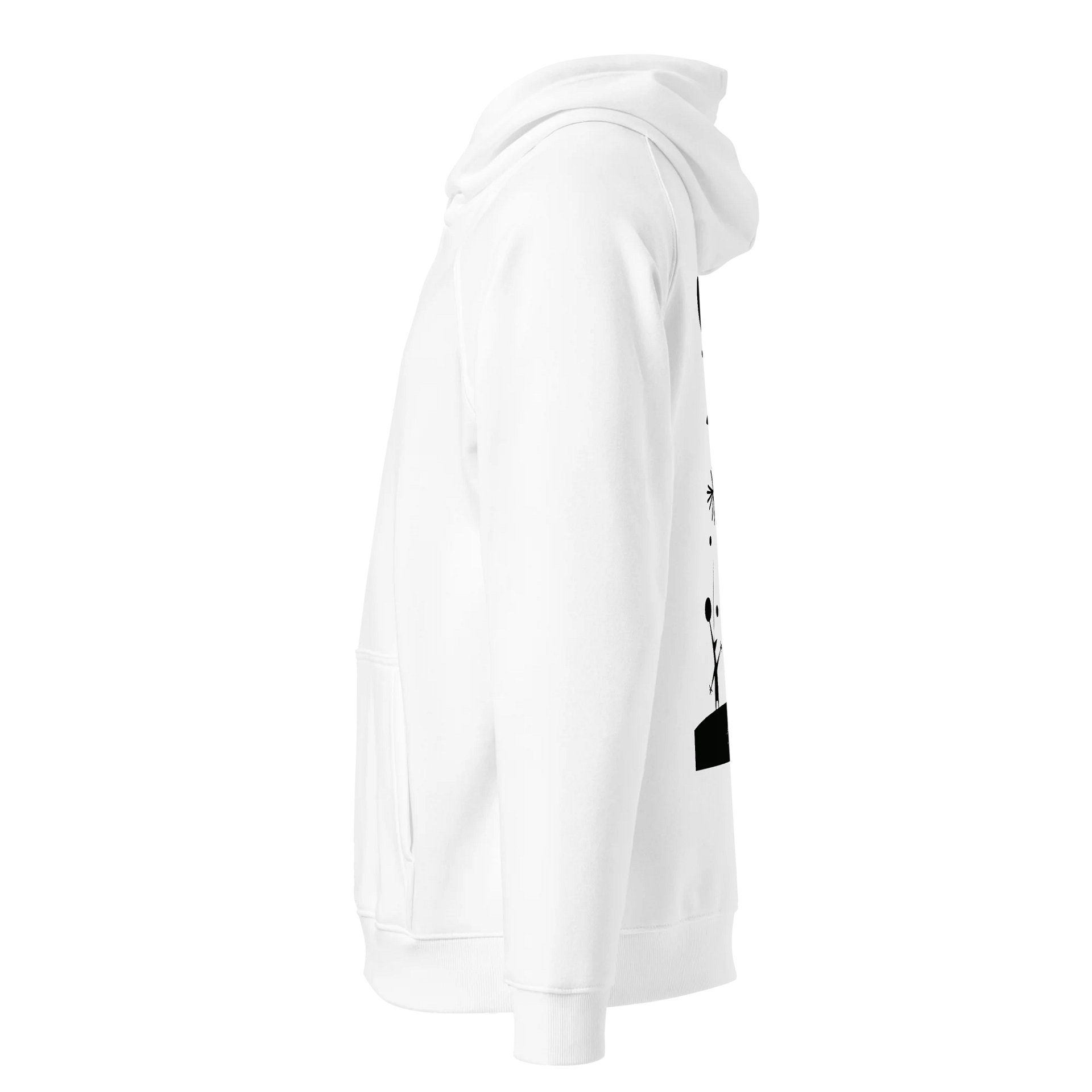 SOL'S Unisex Eco Raglan Hoodie product image (3)