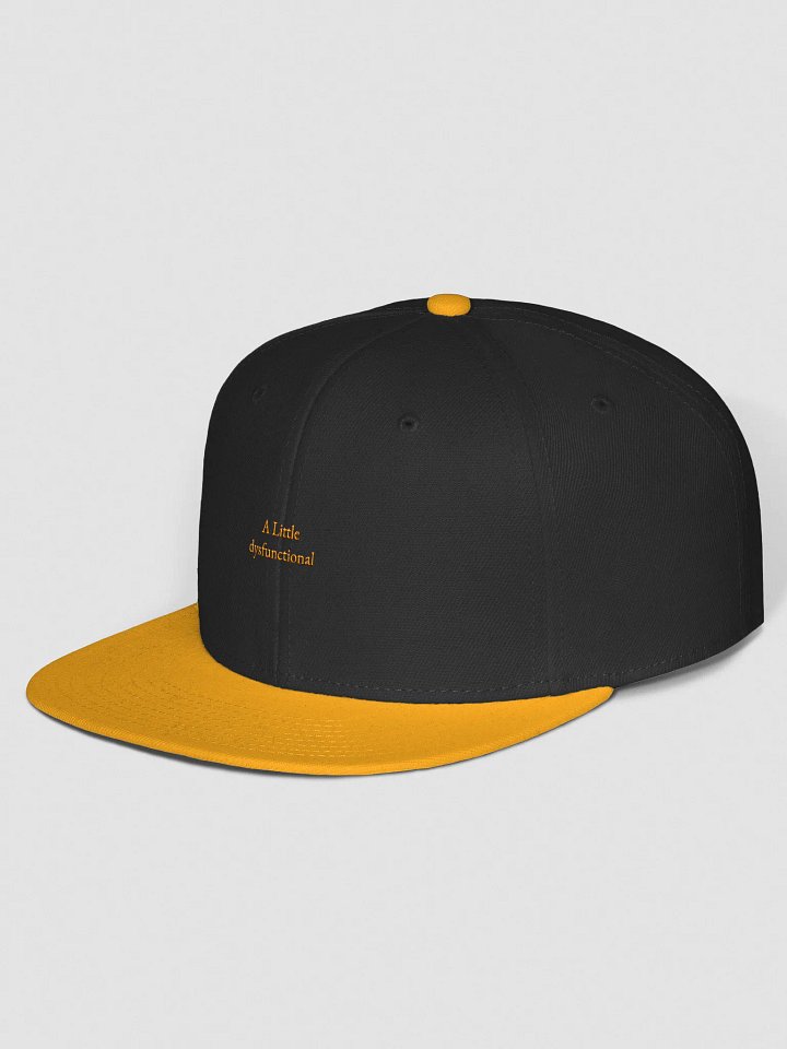 A Little dysfunctional Snap Back Hat product image (106)
