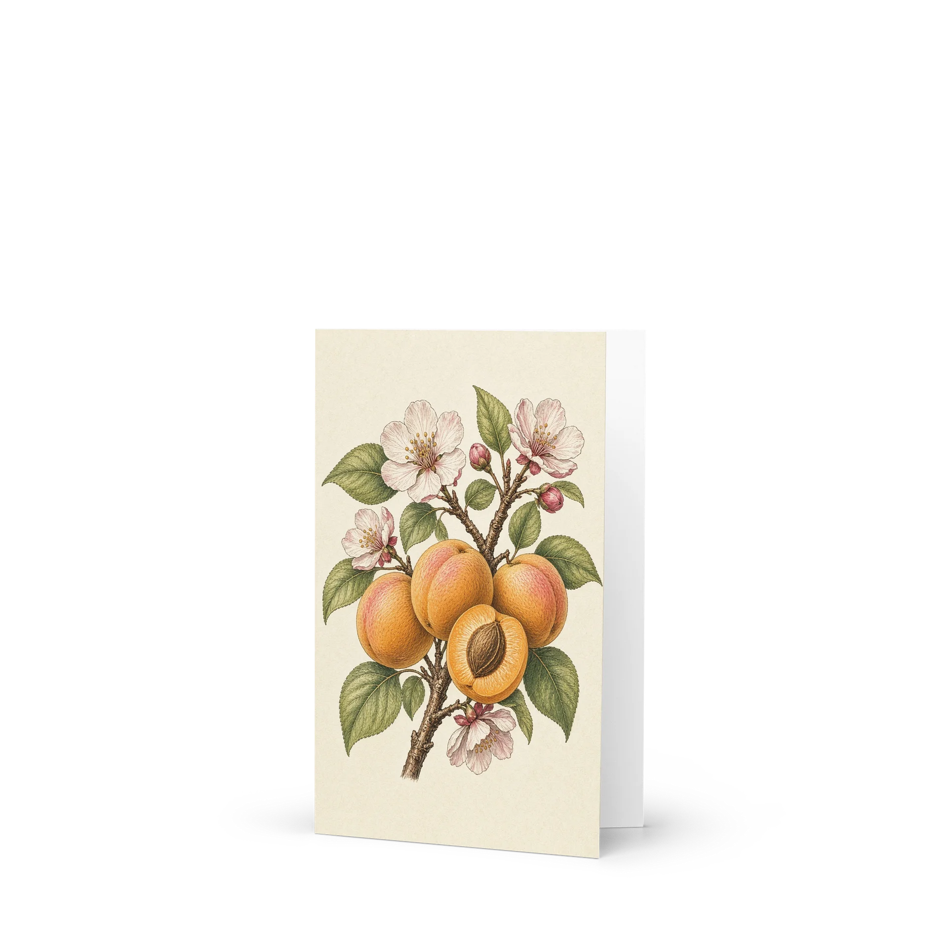 Vintage Apricot Blossom Botanical Greeting Card product image (1)