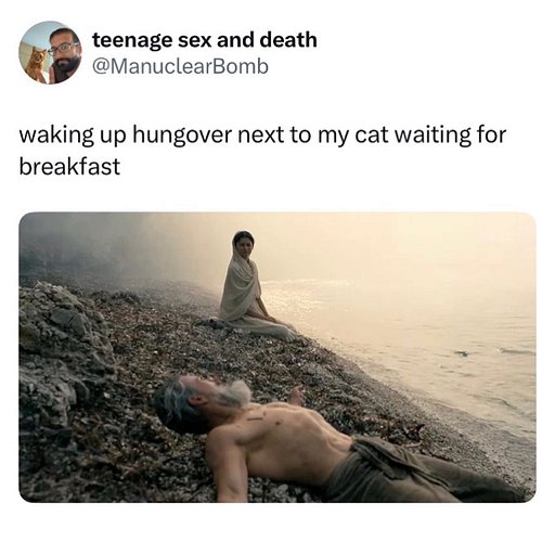 when will my food slave return from war