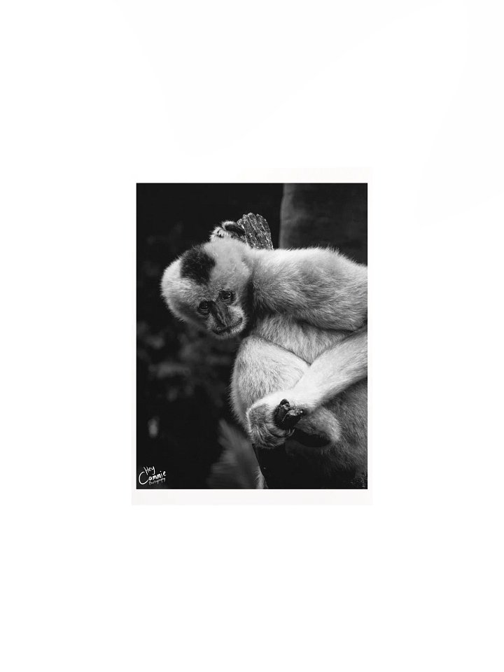 The Gibbon In The Tree - Print product image (1)