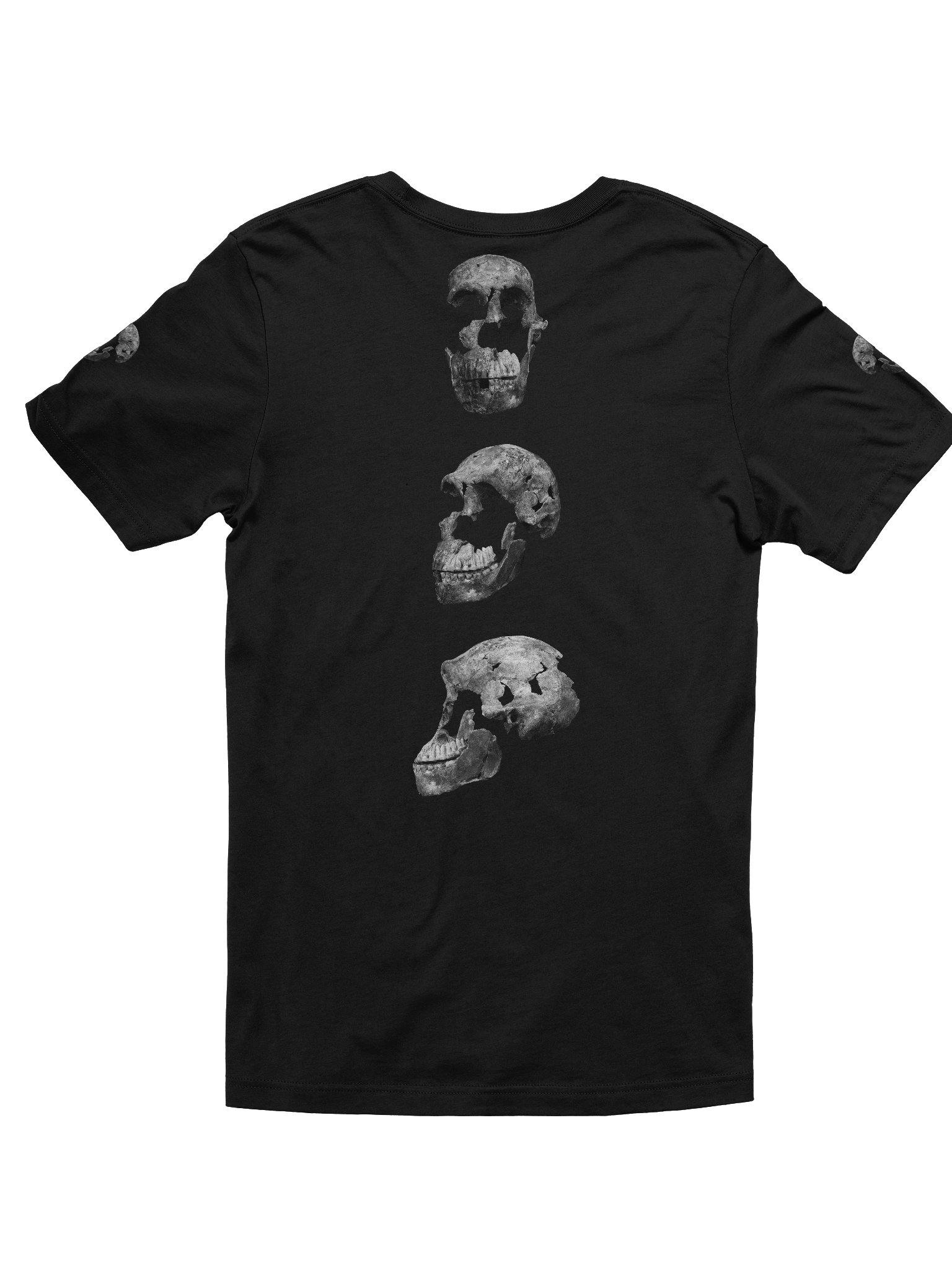 Naledi Fossil Skull T-Shirt Dark product image (8)