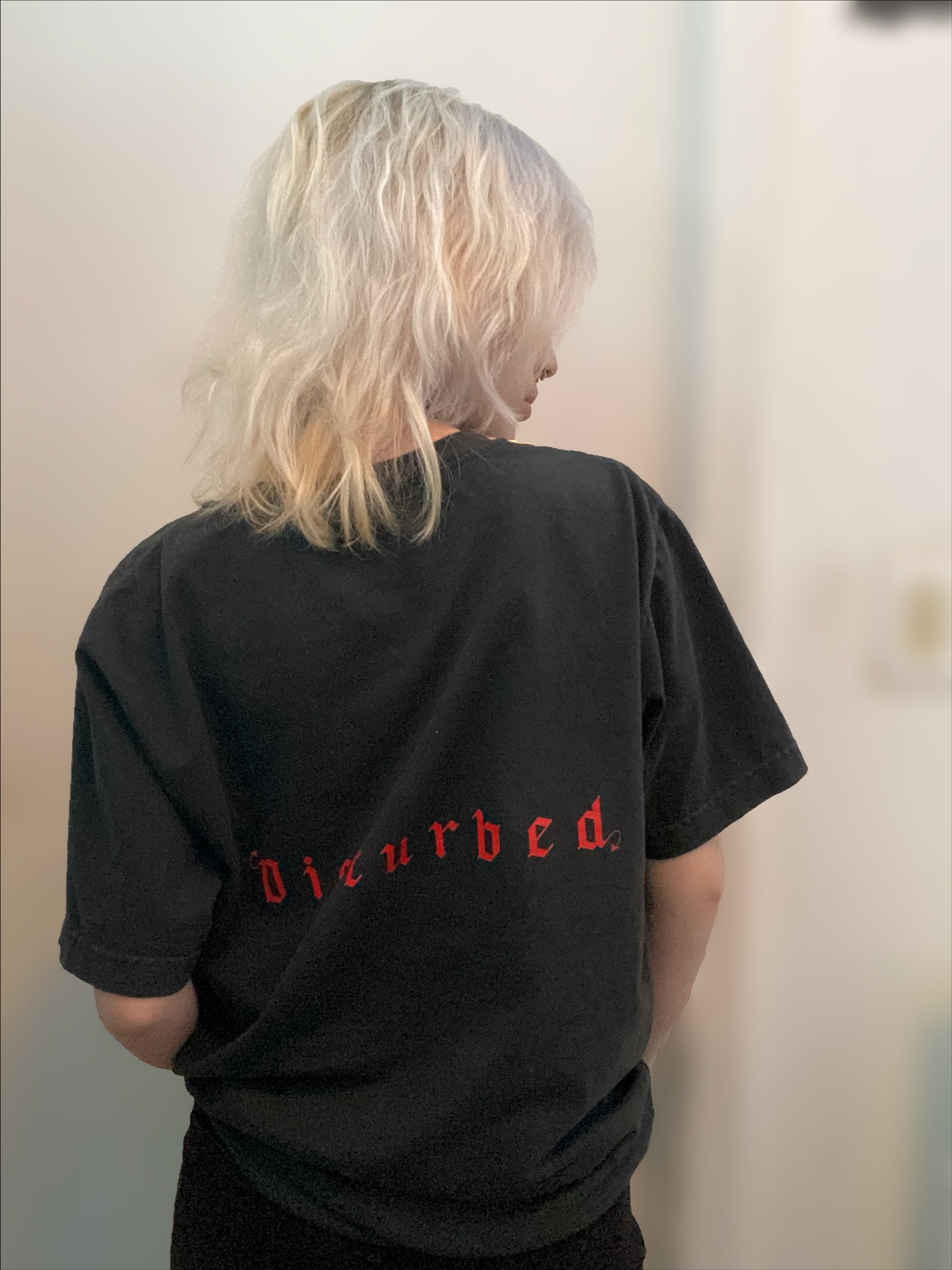 Disturbed Tee product image (5)