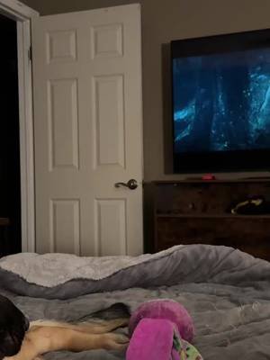 She’s survived Star Wars, Dragon Ball, and now we’re on Avatar. At this point, I’m starting to think she understands the story better than I do… because I’m still lost. 😂 #DogTok #Avatar #GermanShepherd #NerdLife #PetTok
