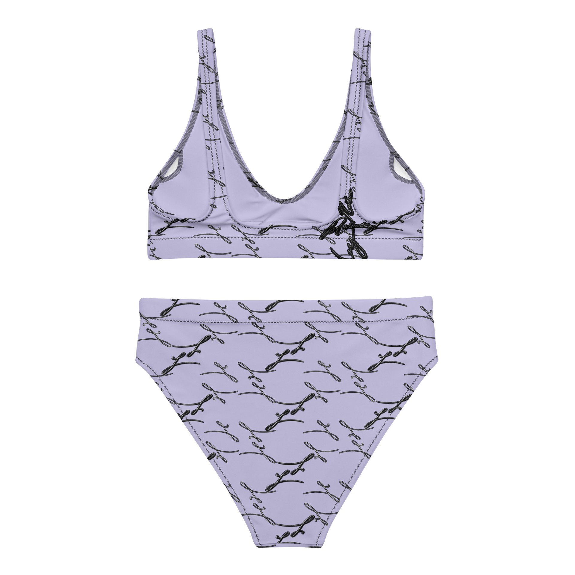 Blush Haze | High Waisted Bikini product image (3)