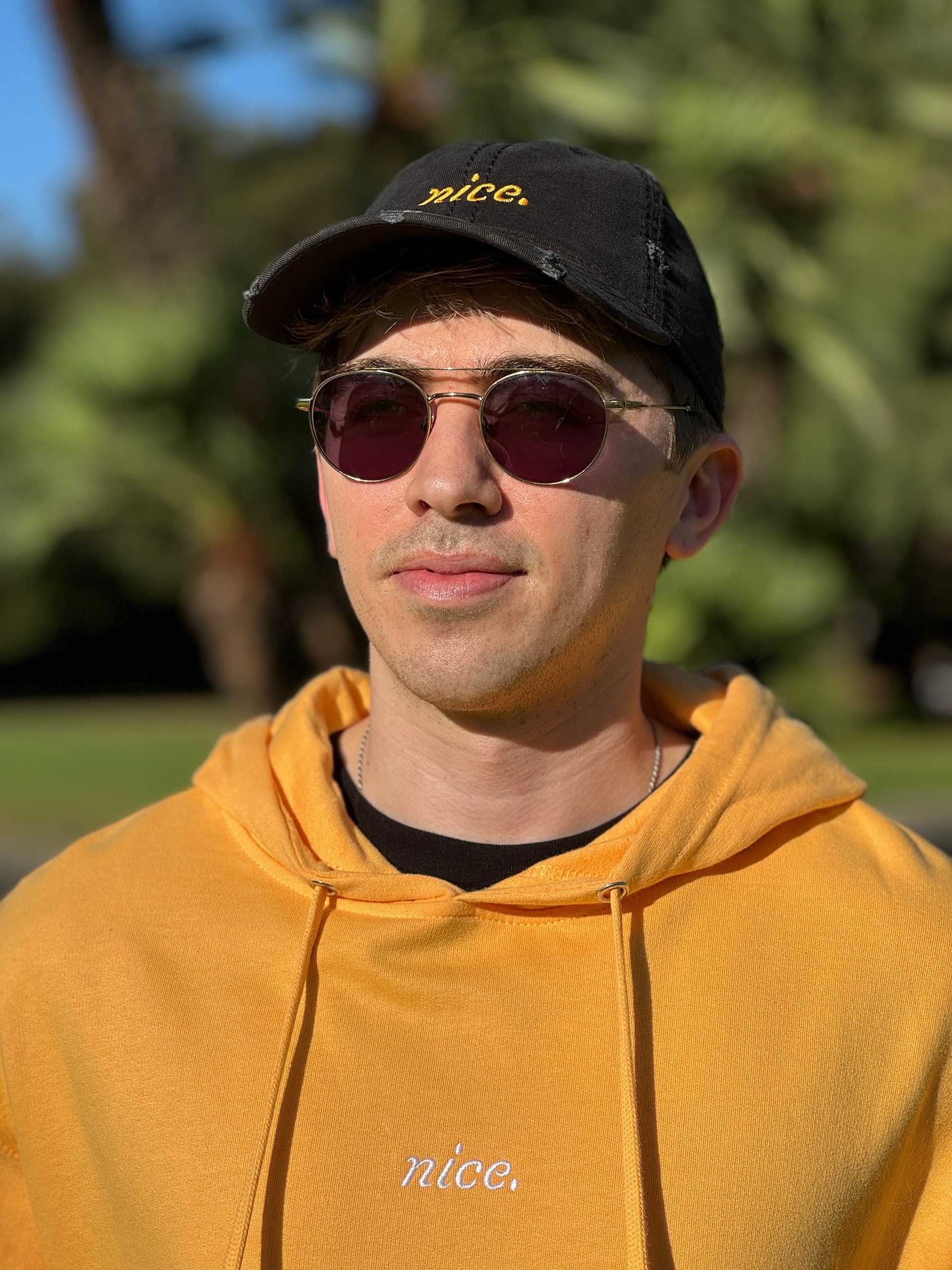 Distressed 'Nice.' Signature Dad Hat product image (10)