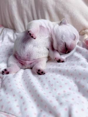 awww