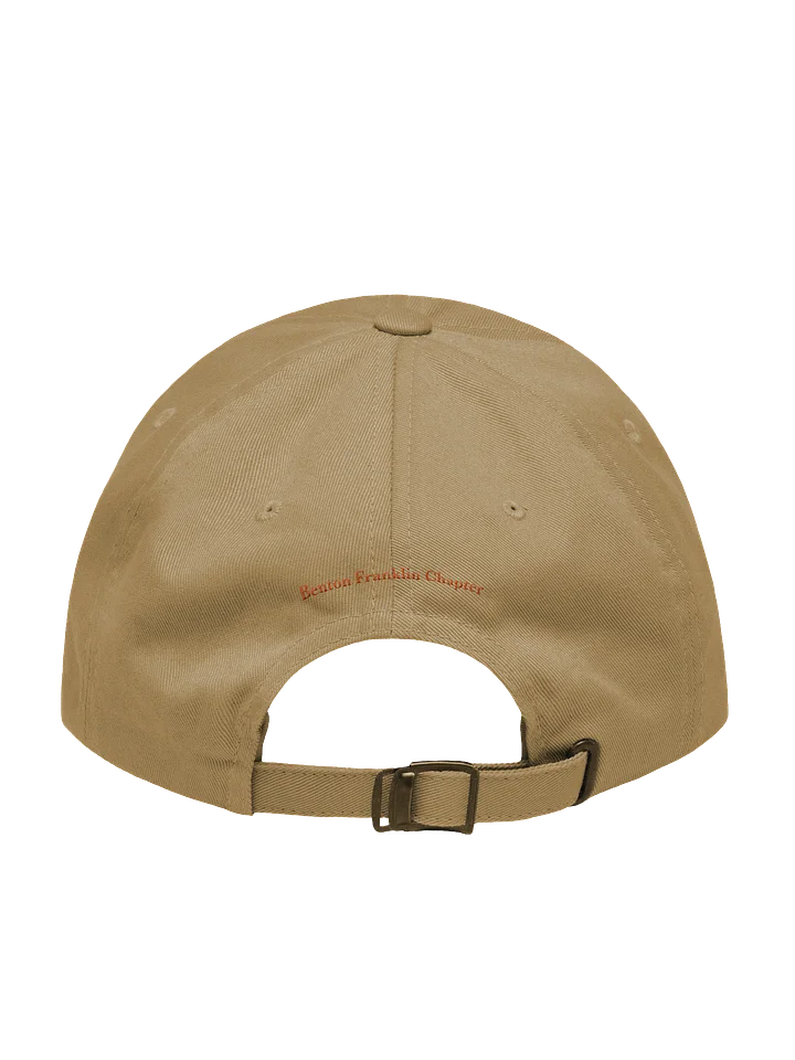 Benton Franklin PF Low Profile Dad Cap product image (2)