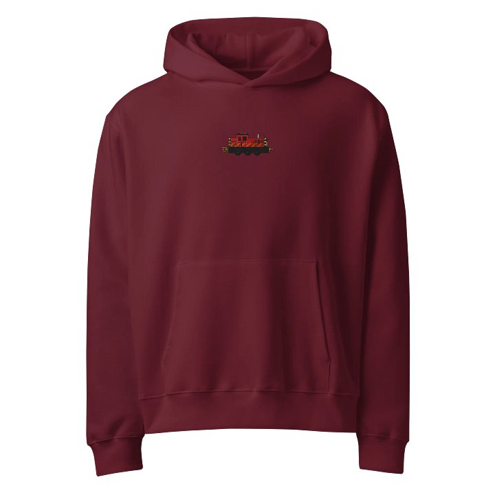 Salty Embroidered Hoodie product image (9)