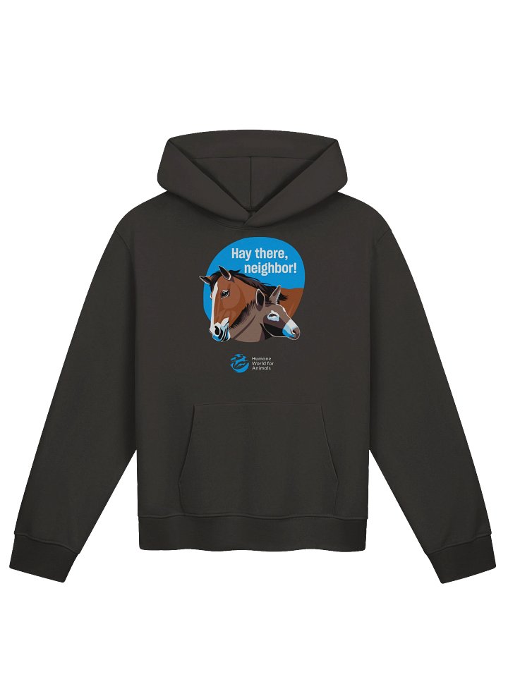 Hay there, neighbor - Hoodie product image (1)