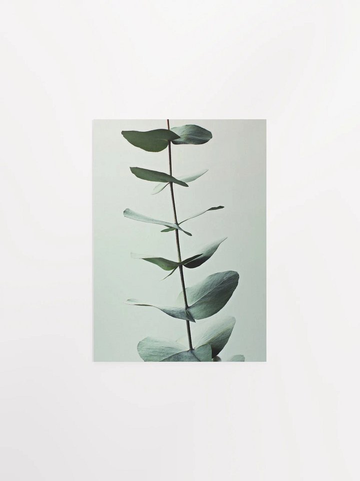 Eucalyptus Whispers Matte Poster product image (4)