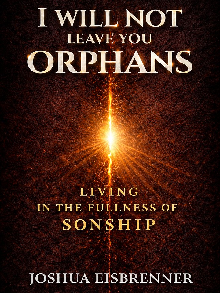 I Will Not Leave You Orphans: Uprooting the Orphan Spirit and Living in the Fullness of Sonship product image (1)
