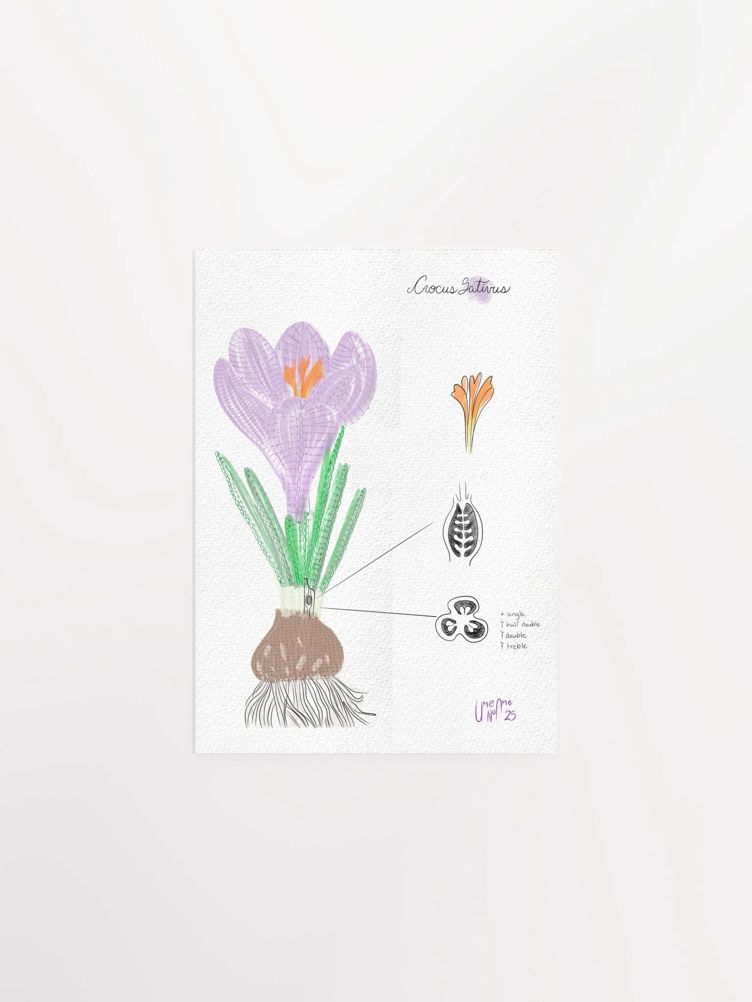 Crochet Vision: Crocus Print product image (2)