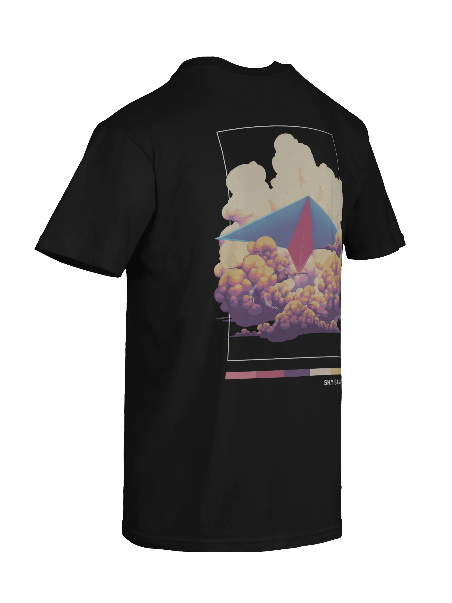 SKY BASS AIRPLANE BACKPRINT product image (10)