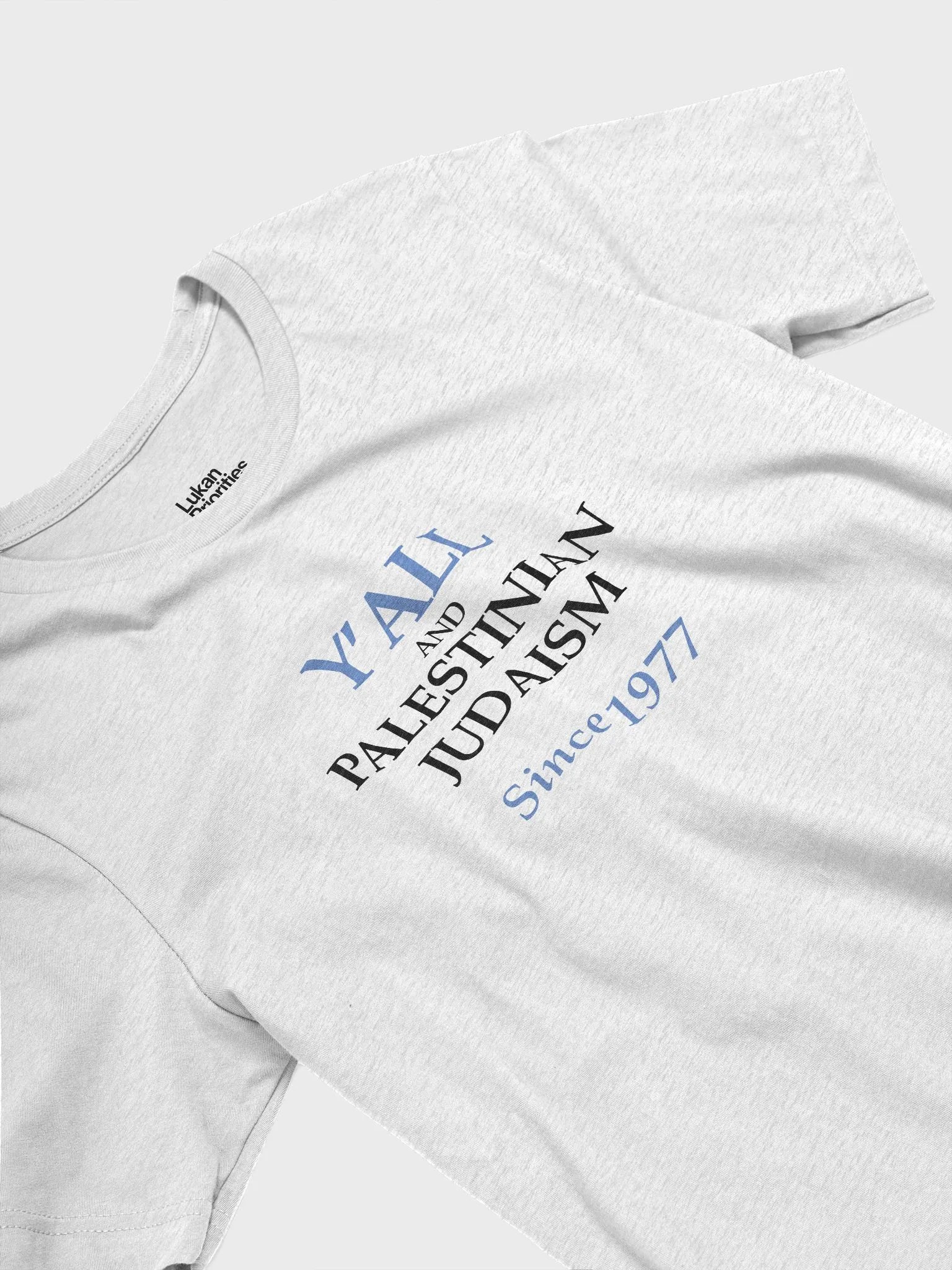 Y'all and Palestinian Judaism Light Mode Tee product image (11)