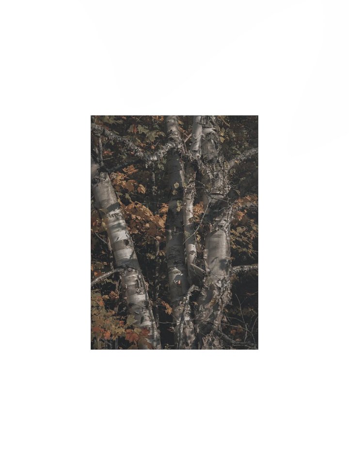 Elec Aspen product image (2)