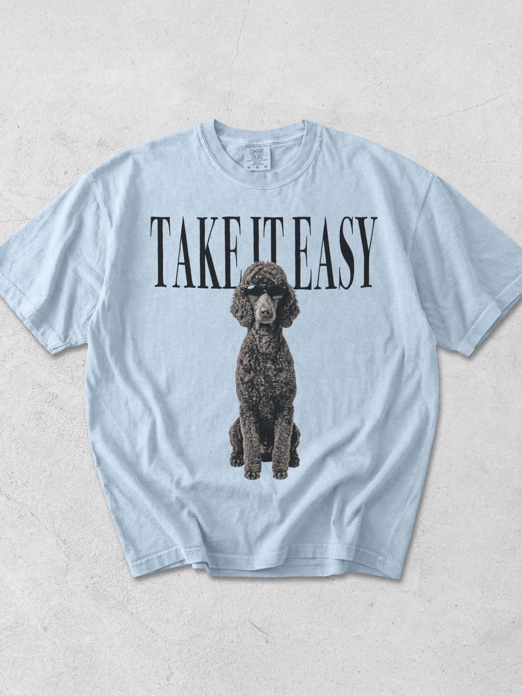 Take It Easy '90s Pop Vintage-Style T-Shirt for Standard Poodle(Gray) Owners product image (1)