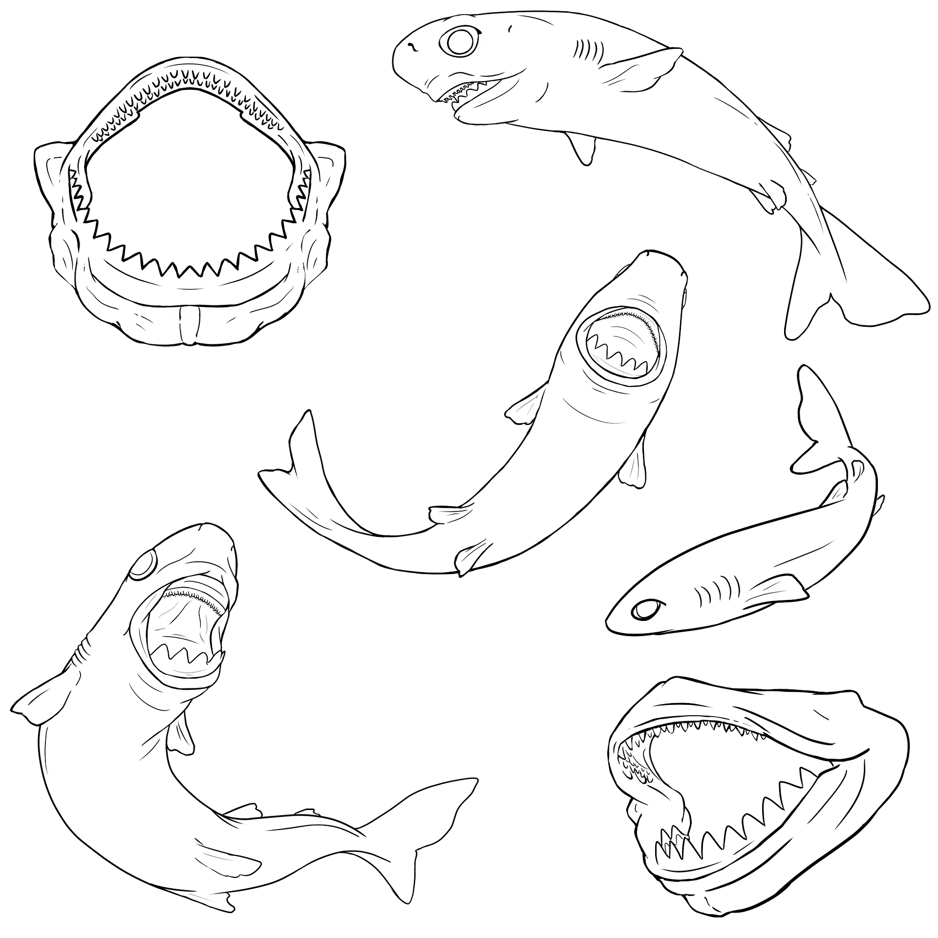 Cookiecutter Shark Coloring pages product image (6)