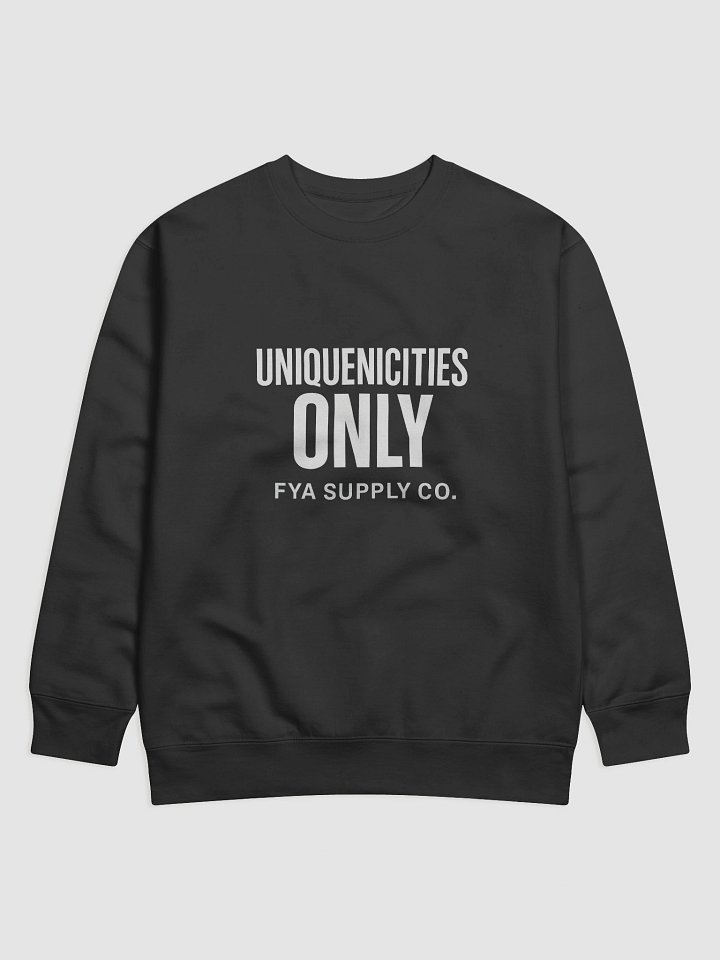 UNIQUENICITIES Premium Sweatshirt product image (1)