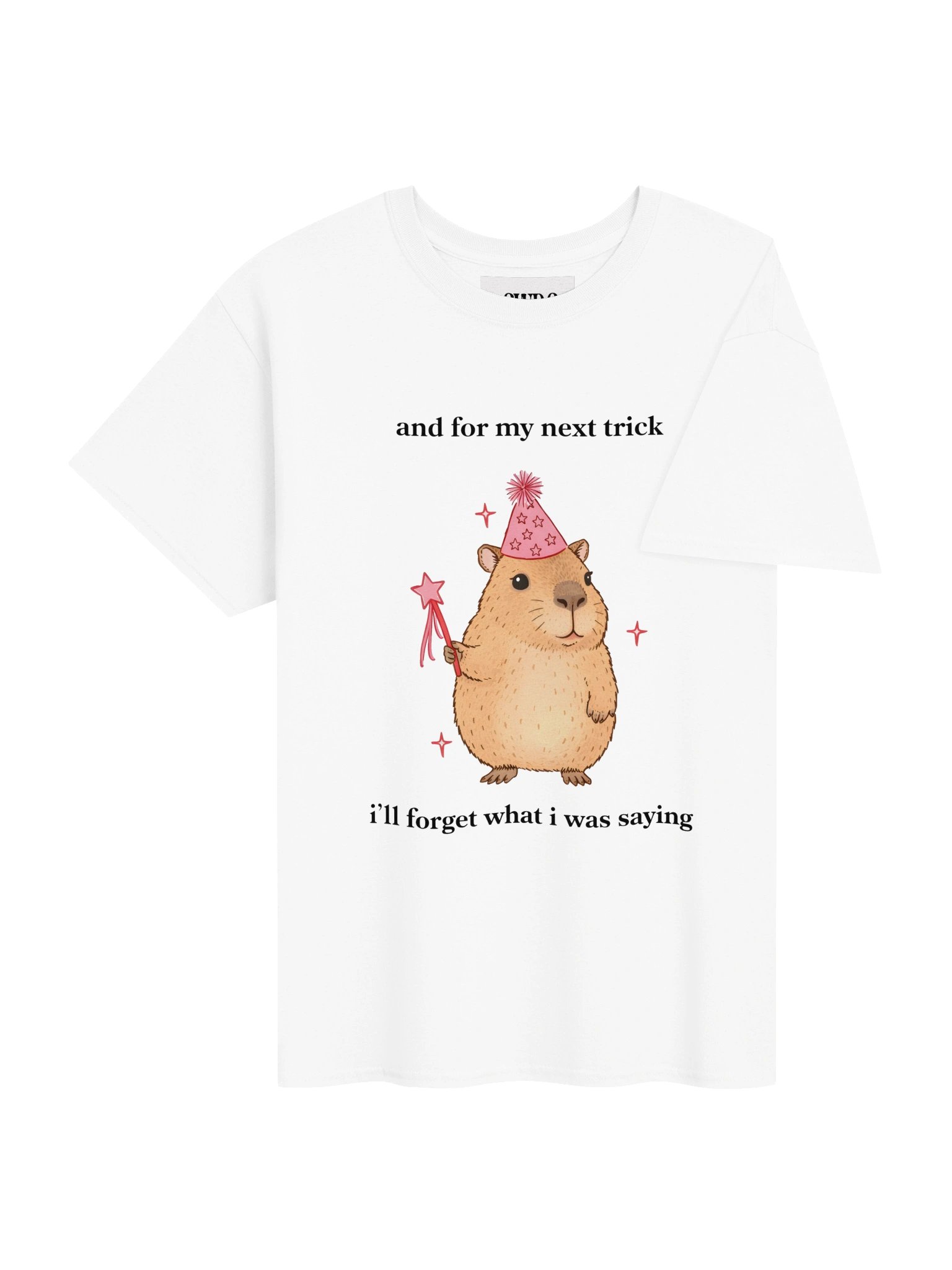 Magic Cabybara product image (4)
