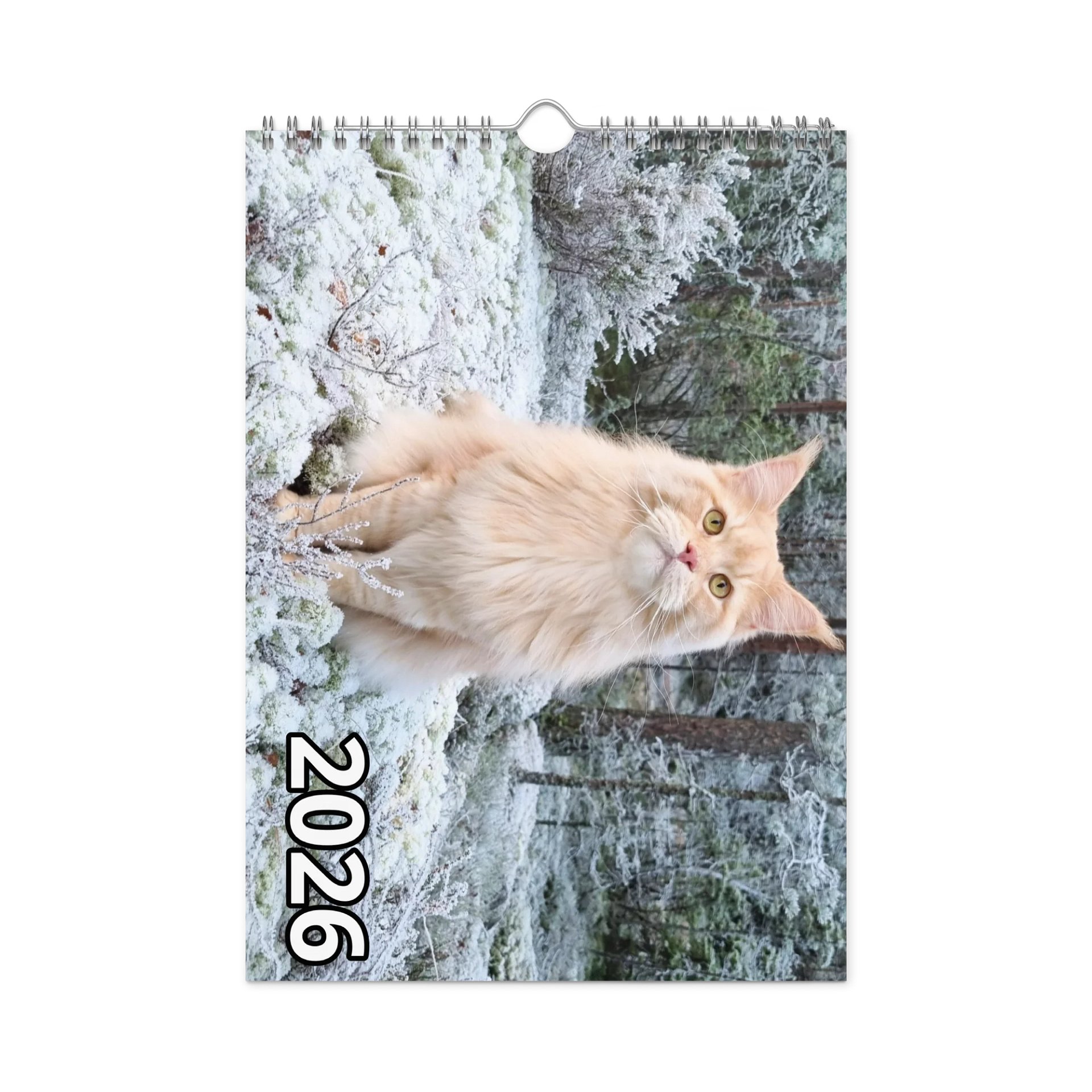2026 Calendar - Maine Coon Adventures + Kittens product image (12)