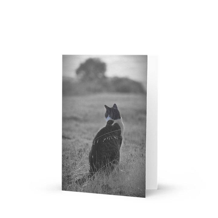 Pawspective Greeting Card product image (1)