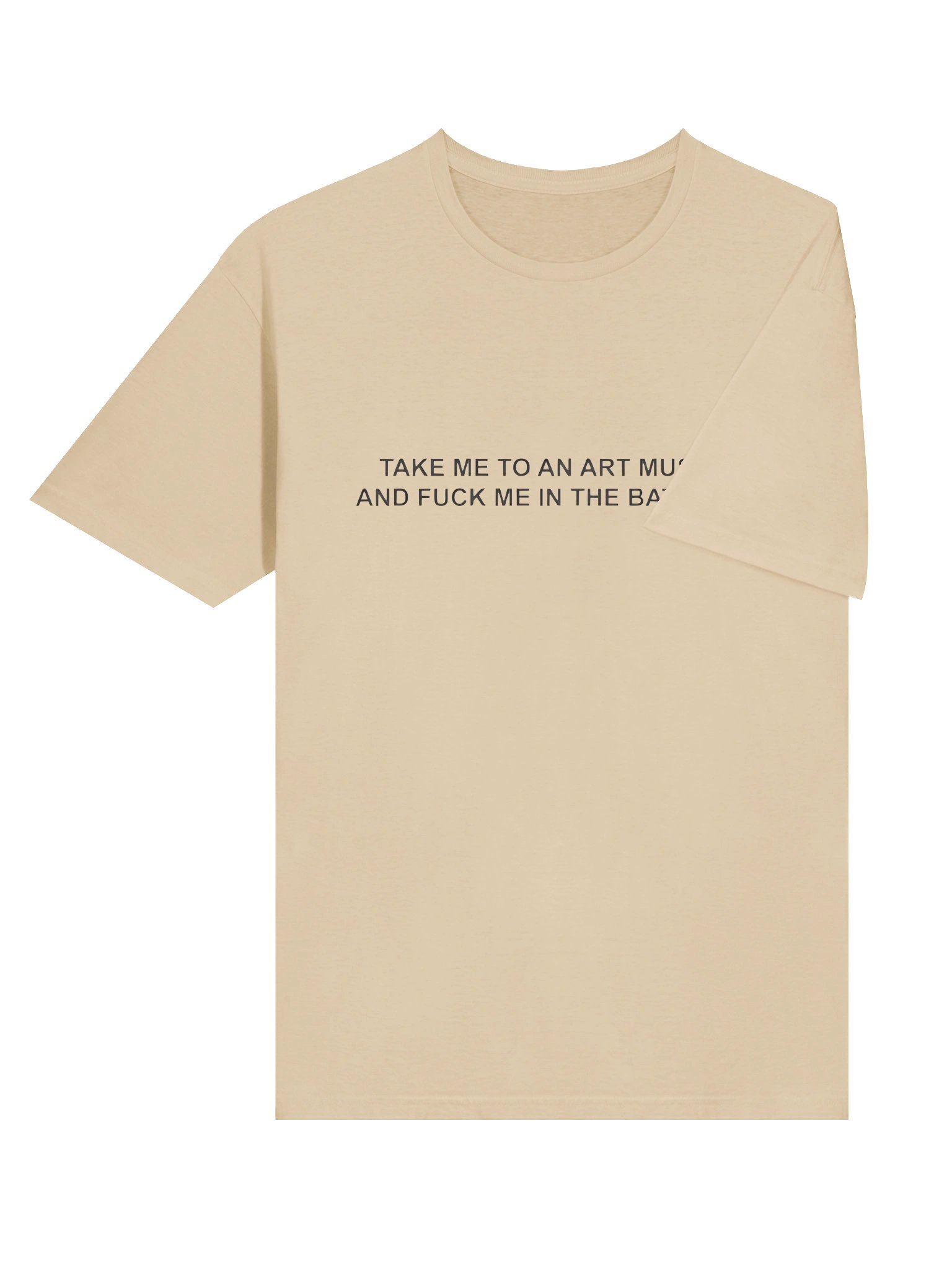 Take Me To An Art Museum And Fuck Me In The Bathroom Shirt product image (5)