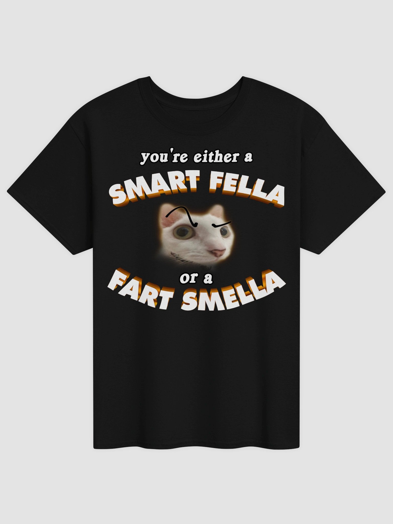 You're either a smart fella or a fart smella T-shirt product image (5)