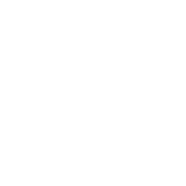 Vegan