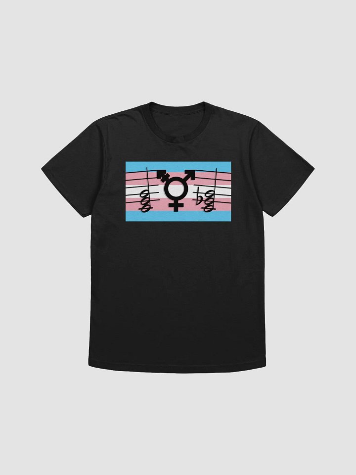 Theory Rights are Human Rights - shirt product image (1)