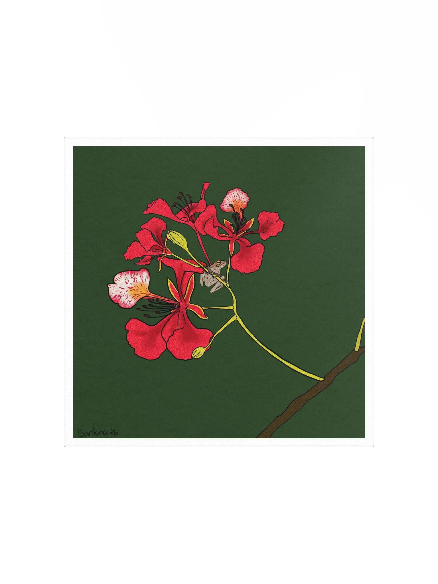 Legacy in Bloom: Flamboyán & Coquí Art Print product image (1)