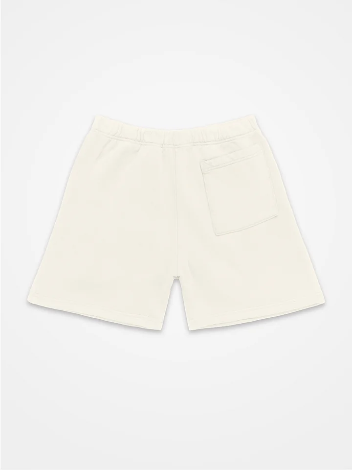 New York Minute Gym Shorts product image (2)