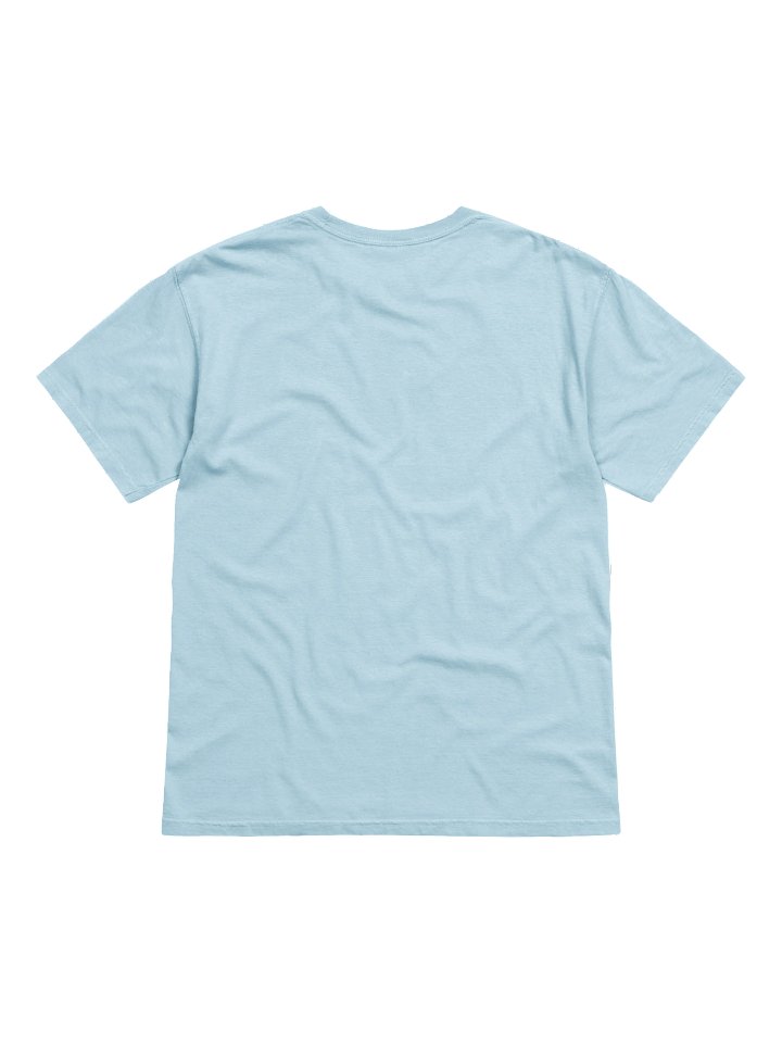 2025 Birds T-Shirt product image (25)