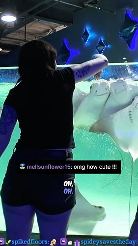 sting ray feedin’ at @legaseaaquarium during a IRL stream! can’t recommend this place enough, incredibly informative and take...