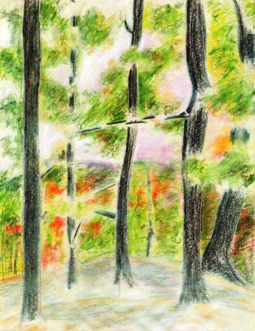 Tennessee Sunset KOA 10.05.85 print product image (1)