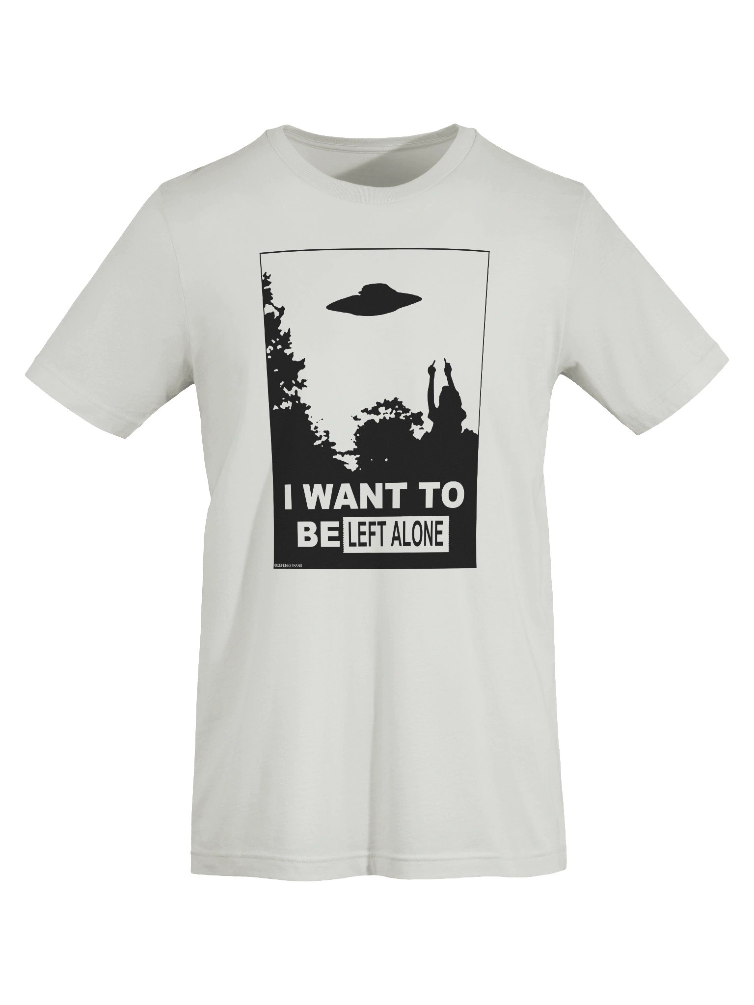 I Want to Be Left Alone BC Tee product image (35)