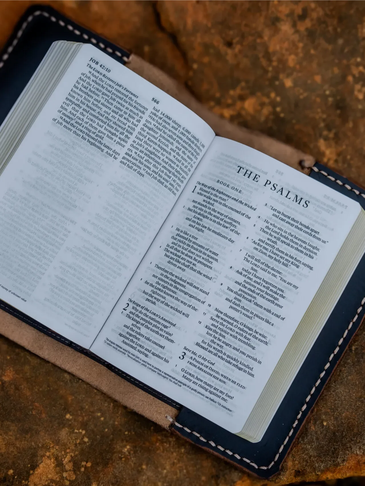 Worn Bible product image (5)