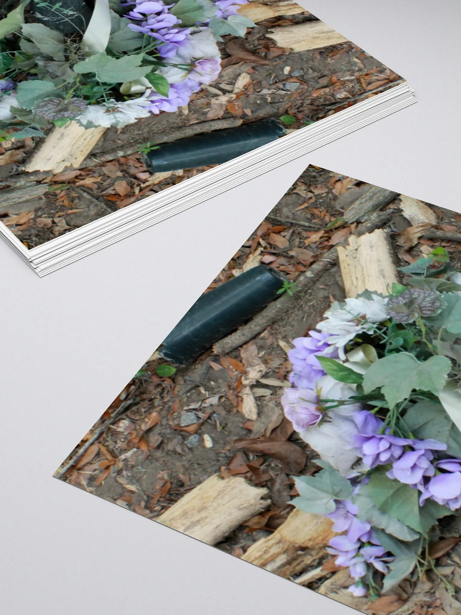 The Cockroach Named Hope product image (12)