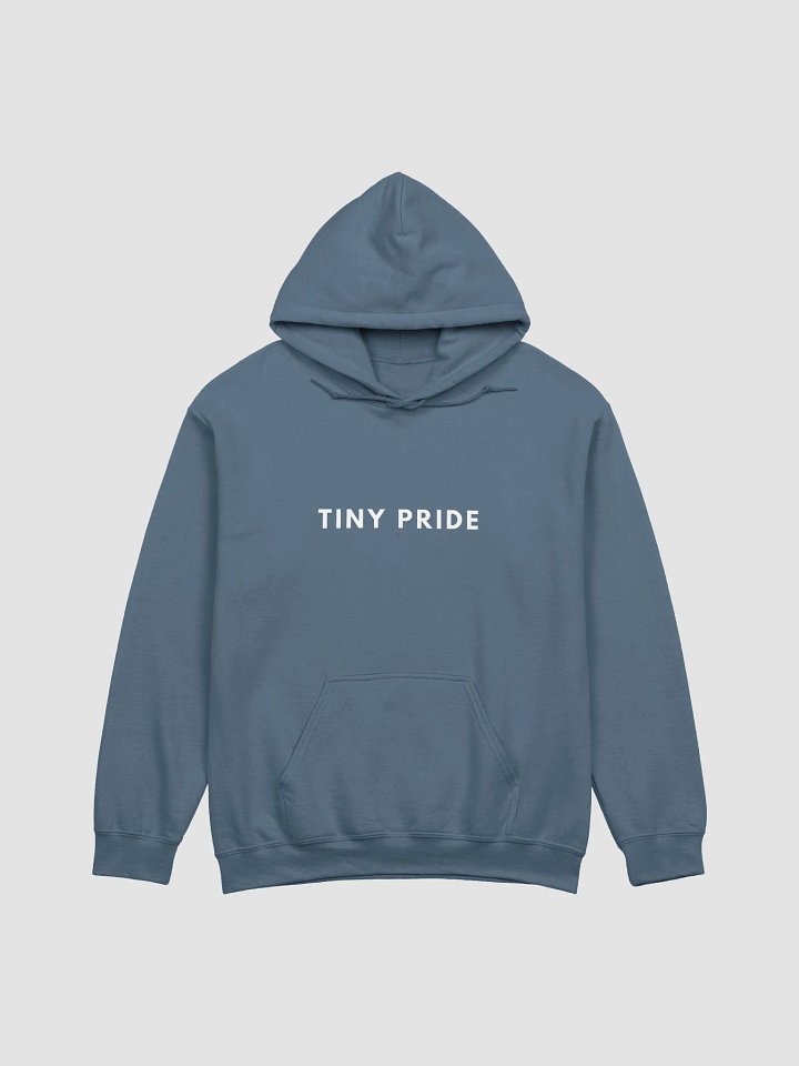 Tiny Pride Slate Hood product image (1)