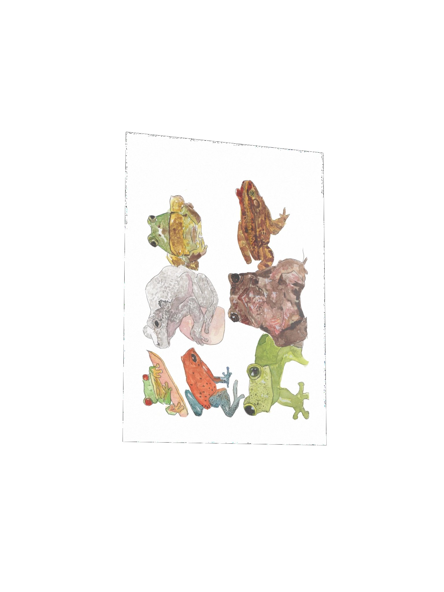 Frog Sketches Print product image (11)